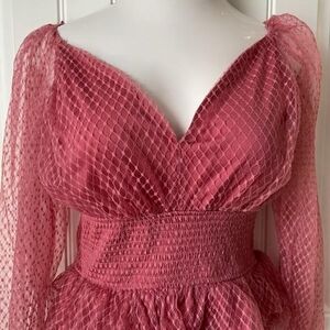 Audrey Park | Francesca's | Elegant Pink Lace Blouse